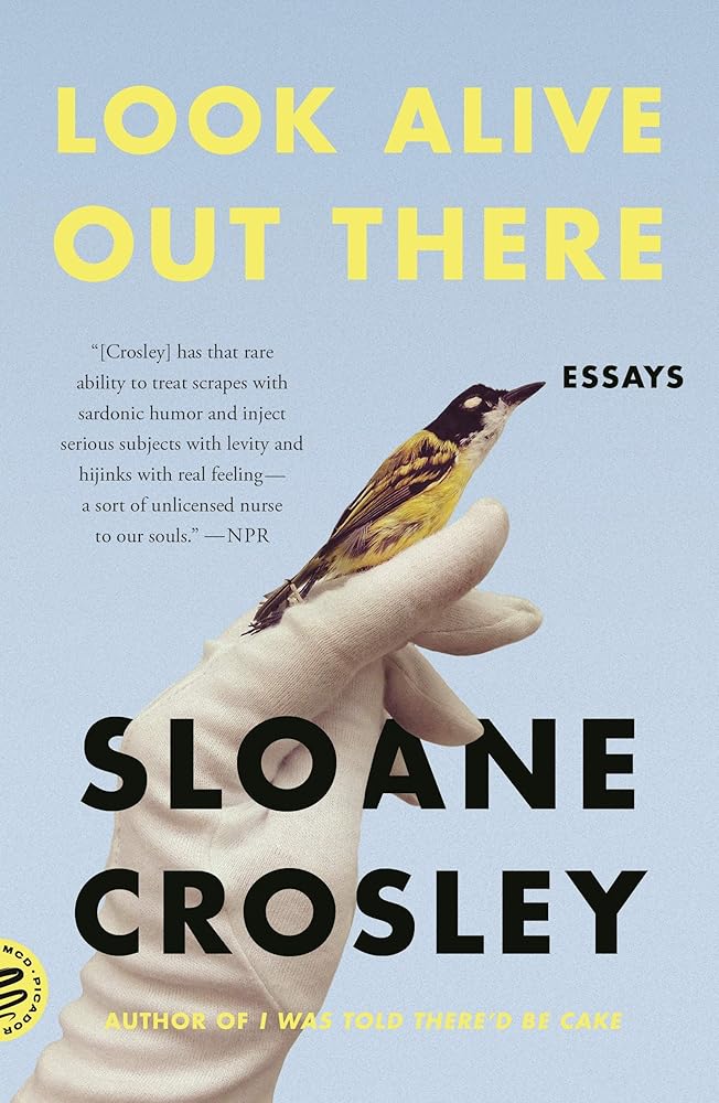 Look Alive Out There: Essays cover image