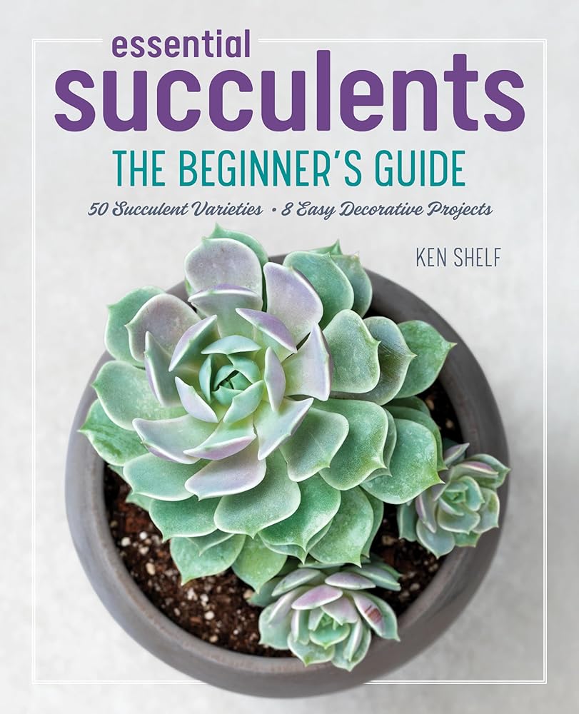 Essential Succulents: The Beginner's Guide cover image
