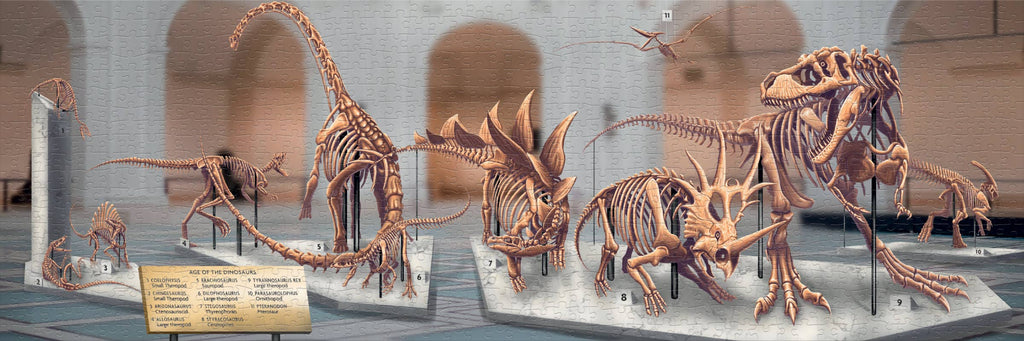 Age of the Dinosaurs Puzzle
